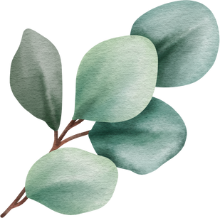 Watercolor Eucalyptus Leaves