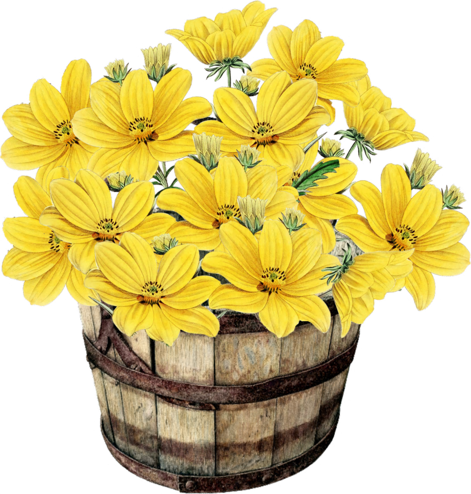 Bucket of Yellow Flowers